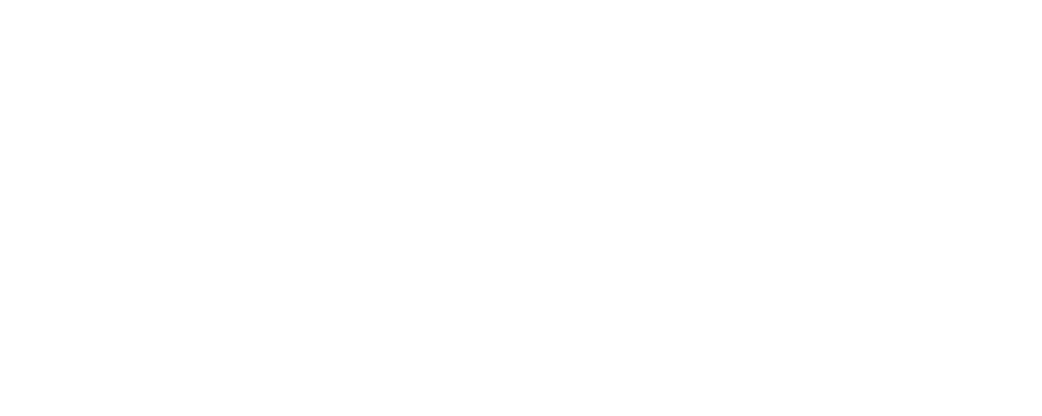 Solvo